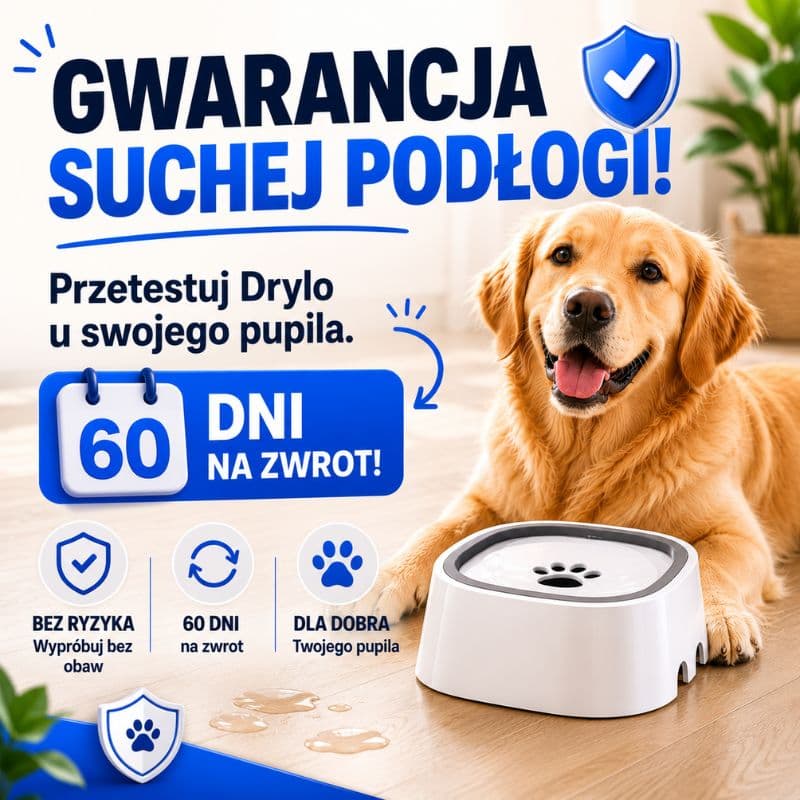 Drylo - Niechlapiąca Miska dla Psa i Kota