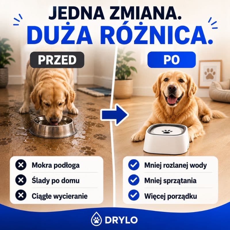 Drylo - Niechlapiąca Miska dla Psa i Kota